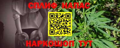 ECSTASY Гусев