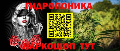 марихуана Аргун