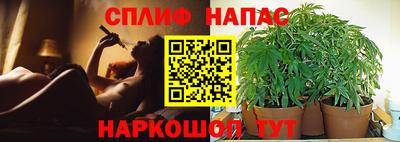 мяу мяу мука Гусиноозёрск