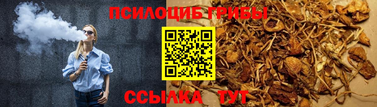 Галлюциногенные грибы MAGIC MUSHROOMS Малоярославец