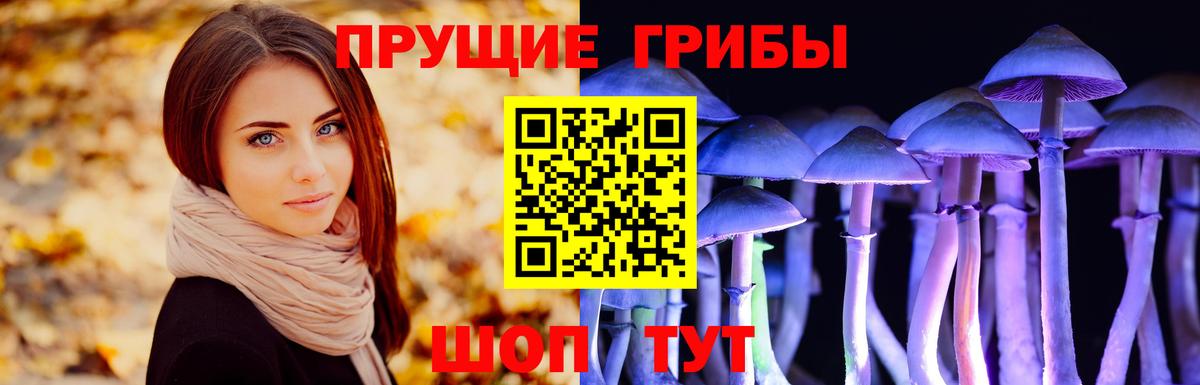 Малоярославец  Псилоцибиновые грибы мухоморы  Вход с VPN 